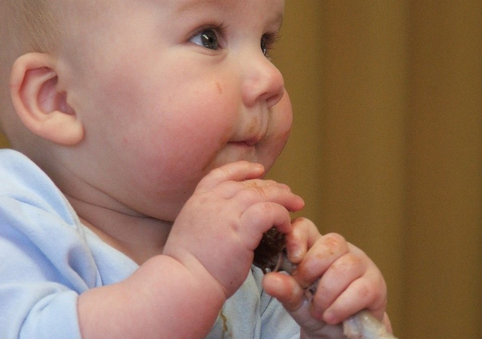 La carne de pollo es un alimento apto para incorporar en las primeras comidas de los bebés.