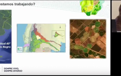 Agricultura generativa: de jarillas y chañares a sistemas de alta producción