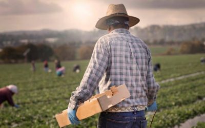 Los países de América Latina y el Caribe establecieron tres prioridades regionales para la FAO