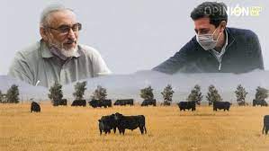 Basterra y de Pedro presentaron los avances del Plan Ganadero en el Consejo Federal Agropecuario