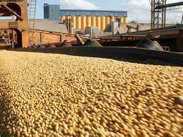 La importación de soja alcanzó su nivel más alto de la historia en los últimos cuatro meses