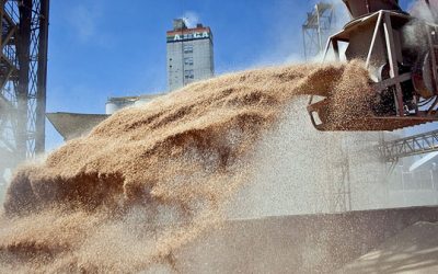 Argentina actualiza las proyecciones de demanda de soja (aunque es muy probable que se quede corta)