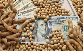 CORDOBA: “Nunca la Nación le sacó tanto dinero a la Provincia como este año”