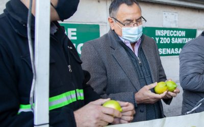 Certificación a la exportación de un embarque histórico de cítricos argentinos