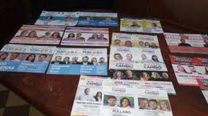 Resultados de las PASO 2021: cuántos candidatos vinculados al campo quedaron en competencia