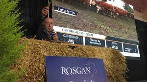 Rosgan en Palermo rematará 24.000 cabezas