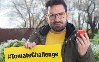 Desafío Tomate: Como si contestara a la campaña maniquea de Greenpeace, la alemana Bayer anunció una nueva línea de semillas para hacer tomates orgánicos