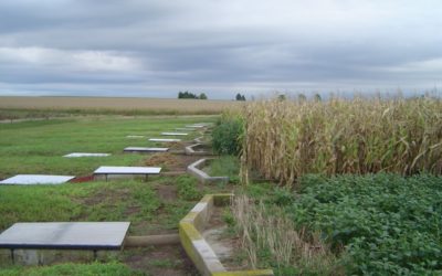 Estudian cuánto suelo se pierde por escurrimiento