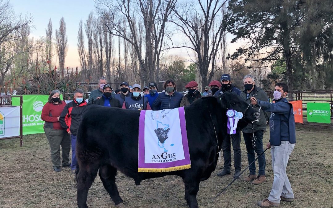 La mejor genética del sur se mostró en la 8ª Exposición Nacional Patagónica
