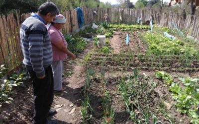 Banco Nación presentó líneas de créditos para pequeños productores de la economía social y agricultura familiar