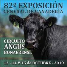 Circuito Angus Bonaerense, un éxito que se muestra