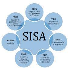 SISA: cómo presentar la información productiva y hasta cuándo hay tiempo