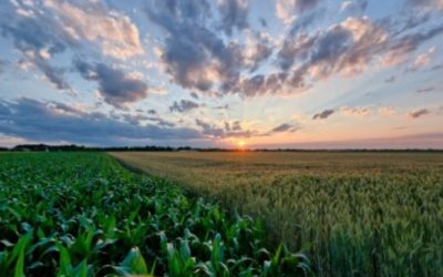 Prevén precipitaciones sobre el extremo nordeste del área agrícola