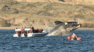 Turismo aventura en Argentina