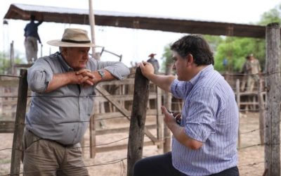 «¡Empecemos a hacer historia!”: el plan de un productor para sumar 25 mil votos contra Insfrán