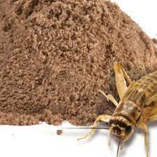 Proyecto para la producción de harina de insectos con destino a consumo animal