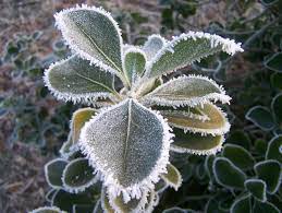 Prevén temperaturas bajo lo normal, los vientos del trópico retornarán con vigor