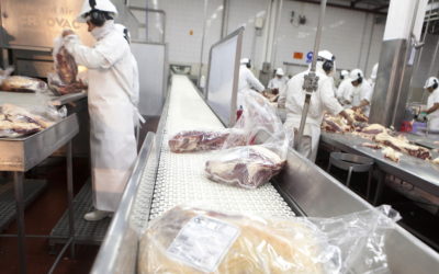 Panorama exportador del sector cárnico en el primer semestre del 2022