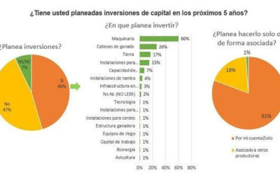 Aumentó la confianza del campo tras las PASO y el 32% de los productores esperan un cambio favorable luego de las elecciones de noviembre