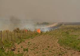 Mapean el comportamiento histórico de los focos de calor