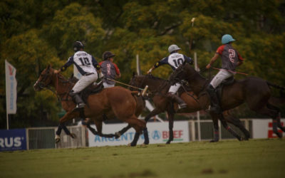 Hito de la ciencia argentina: por primera vez en el mundo nacieron caballos editados genéticamente