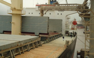 Confirmado: Se habilitó la ampliación del cupo tácito de exportación de maíz argentino 2020/21