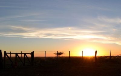 Prevén marcada oscilación térmica, seguida por el inicio del paso de un frente de tormenta