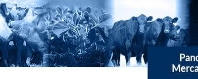 Panorama de Mercados Bolsa de Comercio de Rosario