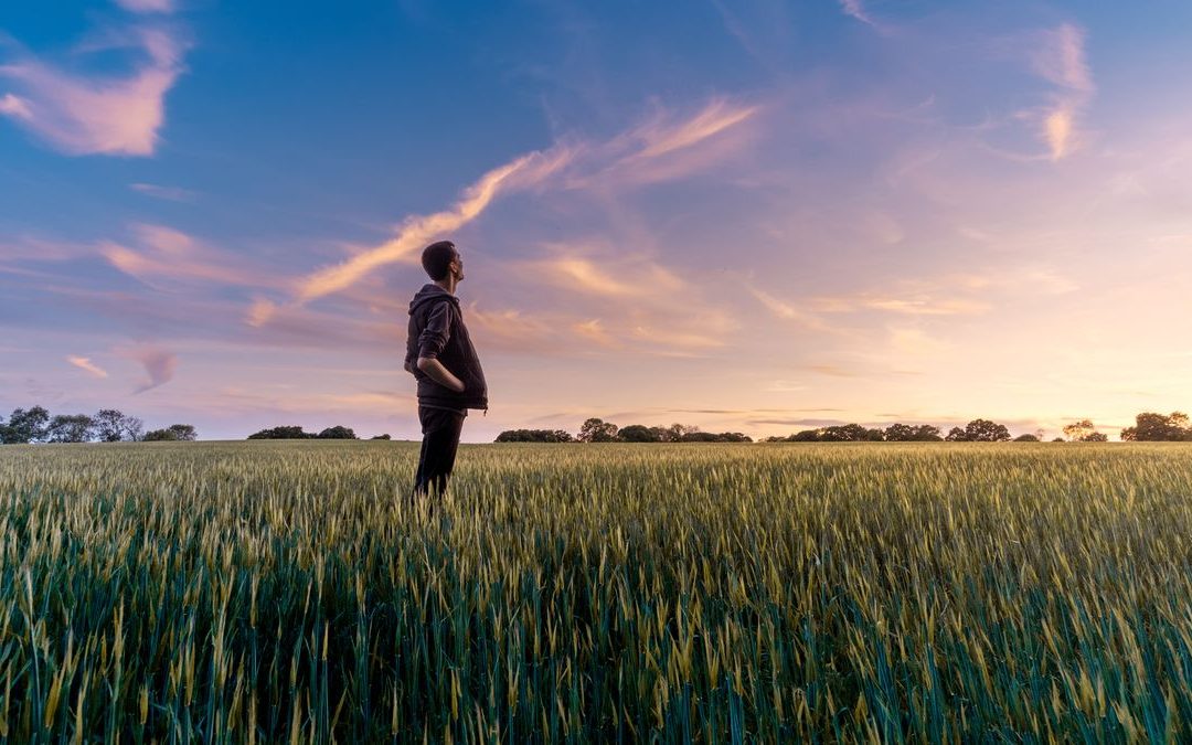 El camino para integrar datos en el agro