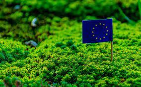 ¿Qué es el Pacto Verde Europeo y qué impacto podría tener sobre nuestras exportaciones?