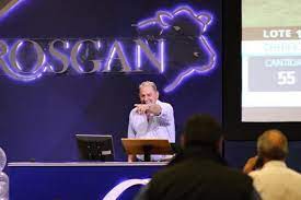 Ganadería: Los precios se adaptan al marco macroeconómico