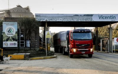 Acreedores granarios proponen un fideicomiso para ‘salvar’ a la empresa de la quiebra