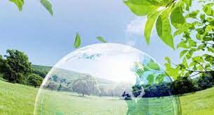 Ética Verde: posmoralismo ambiental a partir de nociones de Gilles Lipovetsky