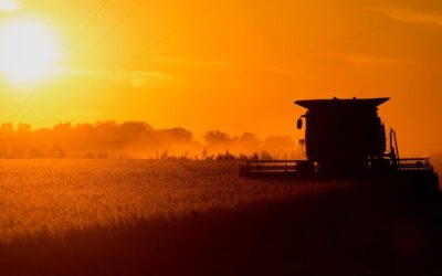 Se vienen días calurosos, con temperaturas de 40°C y sin lluvias a la vista en Córdoba