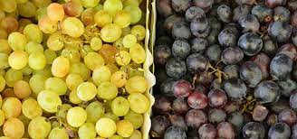 Comercio de uva para consumo en fresco de Mendoza y San Juan en mercados concentradores