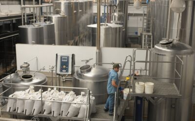 La Cebada está cebada: Hay récord de producción, de exportaciones y hasta de industrialización local