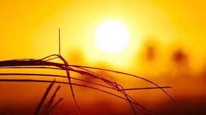 Cuando calienta el sol, aquí en la pampa!