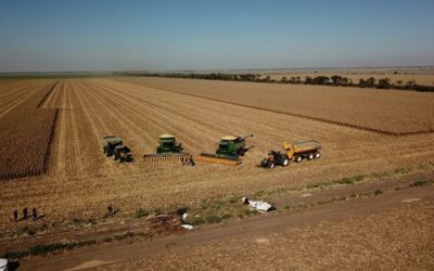 Lipsa, un gigante silencioso en la conquista del NEA: padre e hijo quieren producir en 150 mil hectáreas