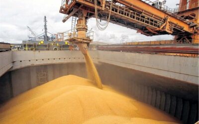 El complejo agroindustrial liquidó en enero casi 2.500 millones de dólares