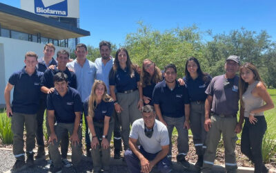 Cuánto engordan livianos y pesados según el procesado del maíz