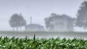 Prevén lluvias ligeras con marcado descenso de temperatura