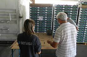 Primera exportación de uva en fresco sin bromurar a Brasil desde la región de Cuyo