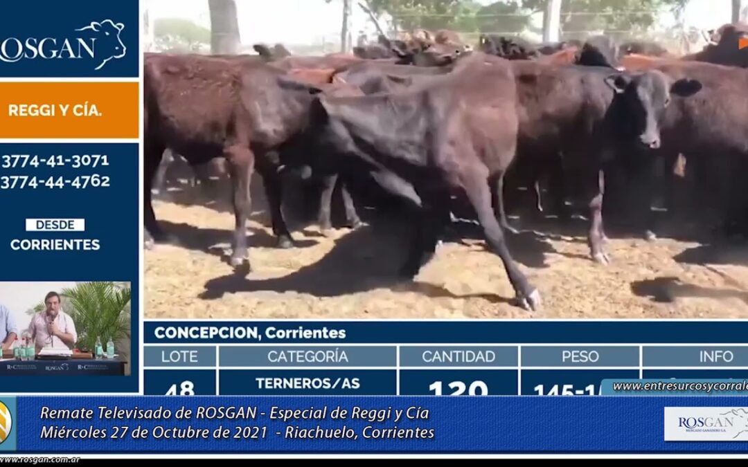 Remate de Reggi y Cía. junto a Rosgan en Corrientes: se recolectaron $7.230.000 para los bomberos