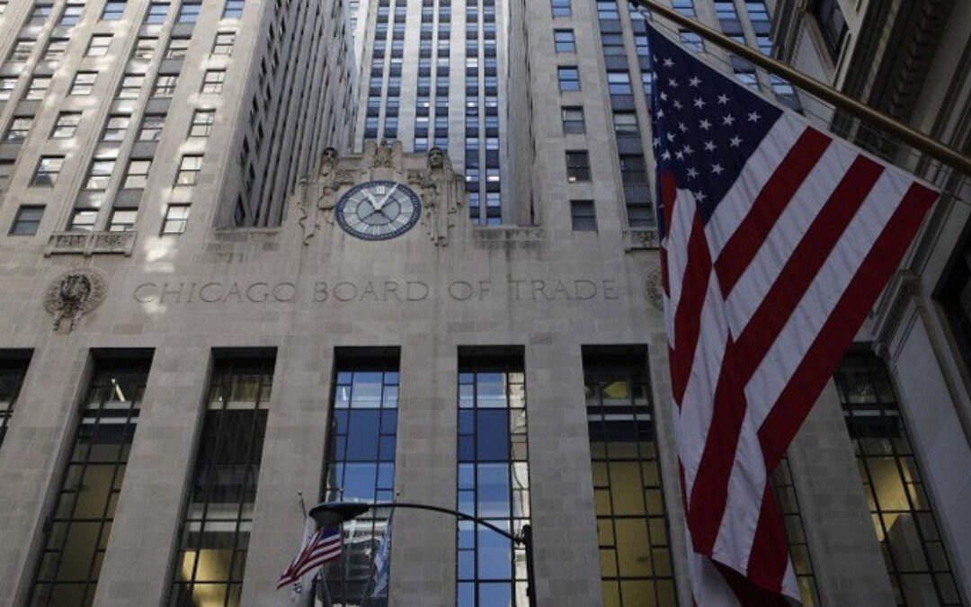 Los granos se desplomaron en Chicago pero el trigo y el maíz terminaron con ganancias en el acumulado semanal