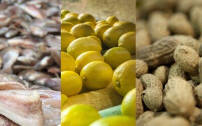 Qué exportaciones nacionales podrían verse perjudicadas por la guerra en Ucrania