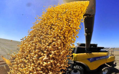 Récord del aporte de divisas del agro