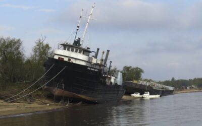 De las sequías al frío extremo: Cuáles fueron las «anomalías» y eventos climáticos extremos en 2021