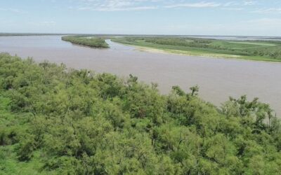 Elaboraron un plan de conservación de bosques nativos