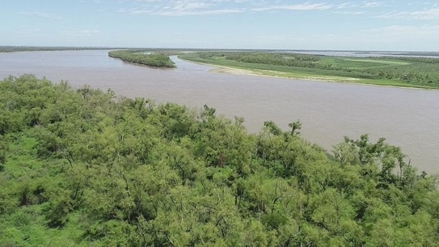 Elaboraron un plan de conservación de bosques nativos