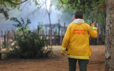 Producción ganadera: relajan medidas sanitarias en provincias afectadas por sequías e incendios